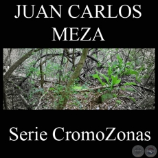 SERIE CROMOZONAS (Fotografías de JUAN CARLOS MEZA)